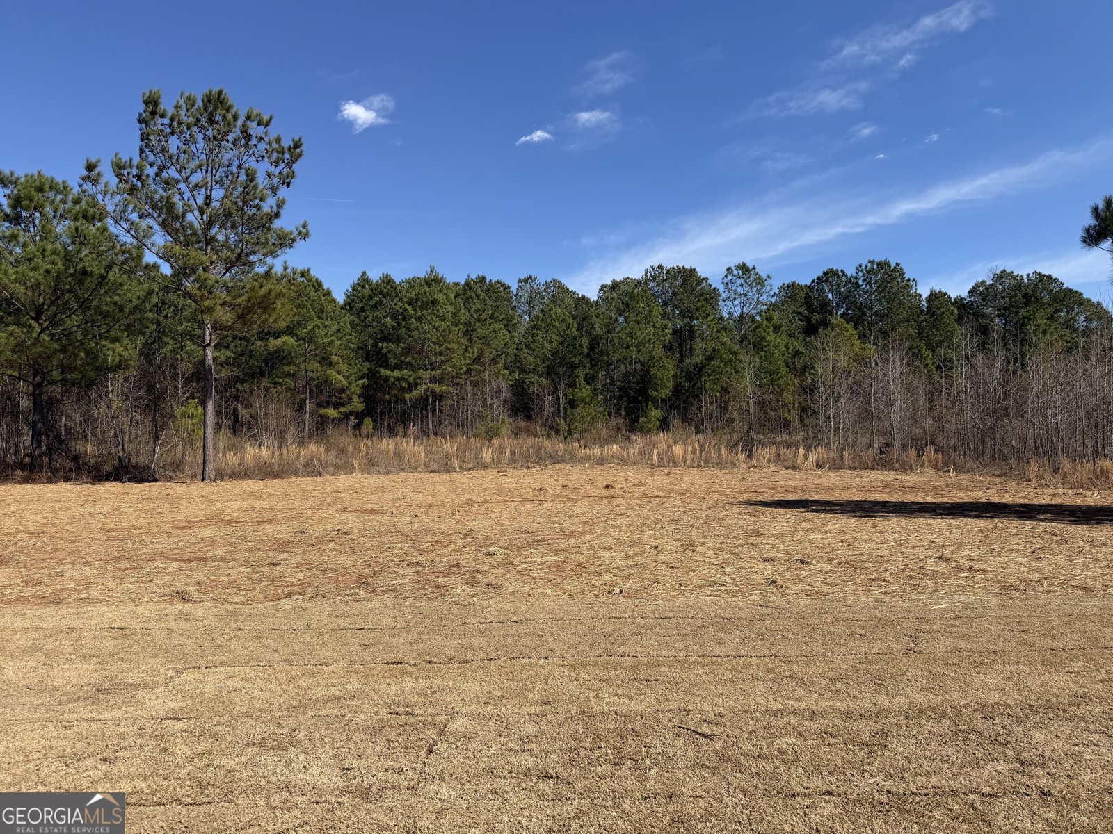 741 Pine Grove Church Road Culloden - Photo 29