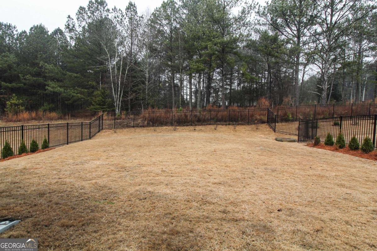 271 Canyon Ferry Way Hoschton - Photo 48