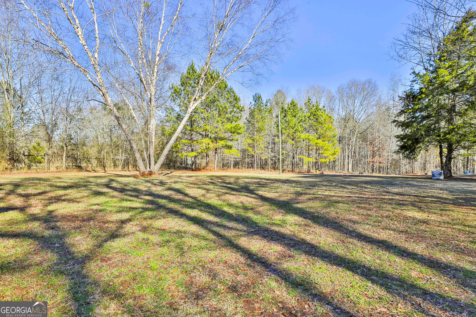 245 Oneal Drive Luthersville - Photo 34