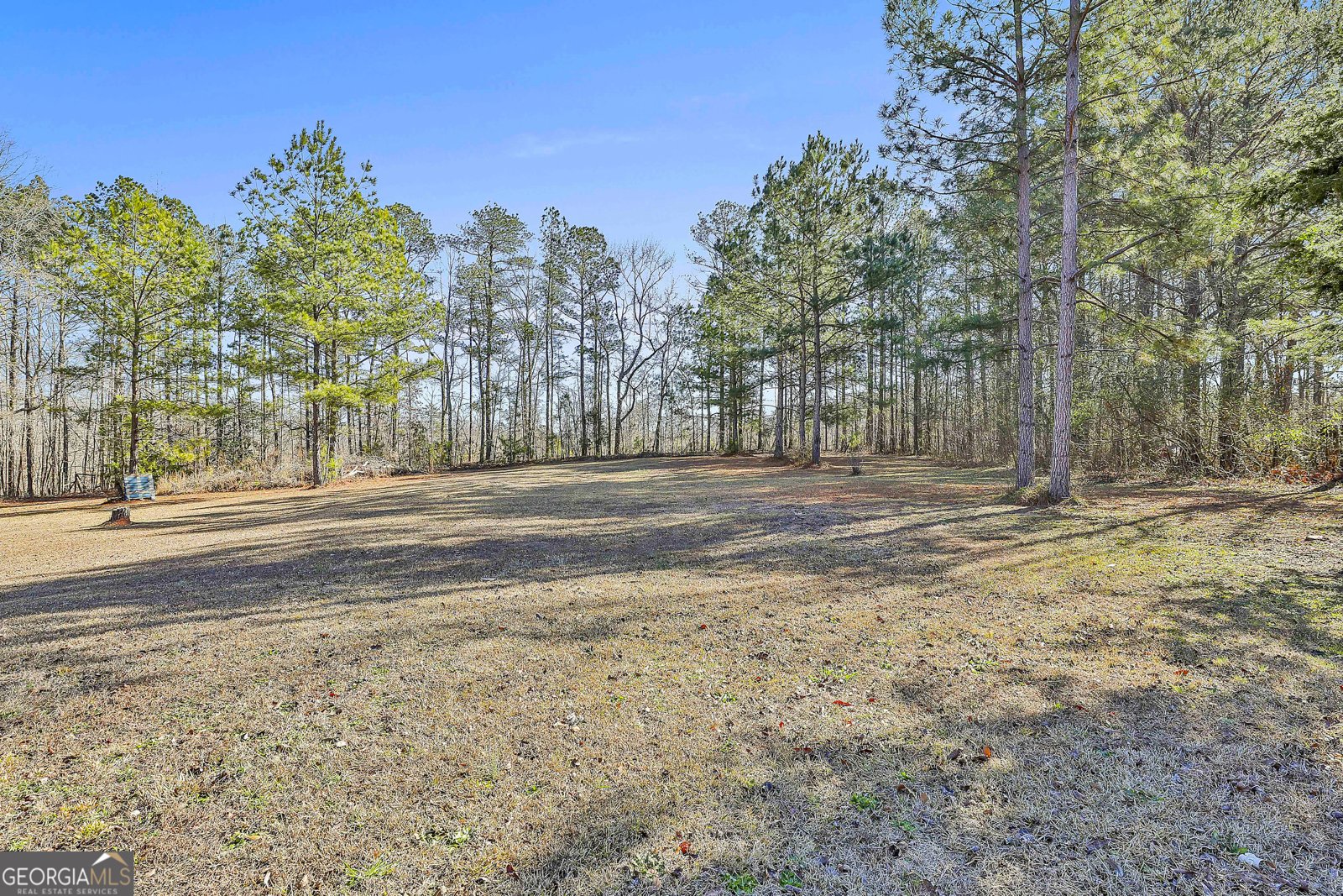 245 Oneal Drive Luthersville - Photo 37