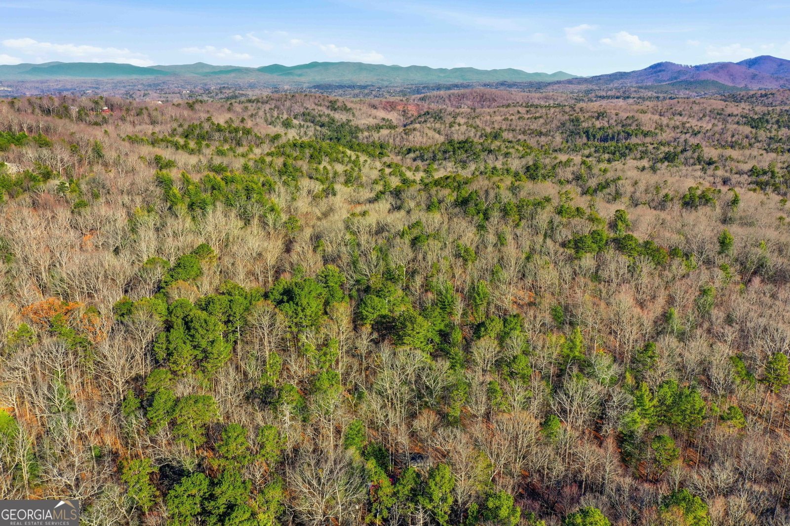 783 Bernhardt Road Ellijay - Photo 6