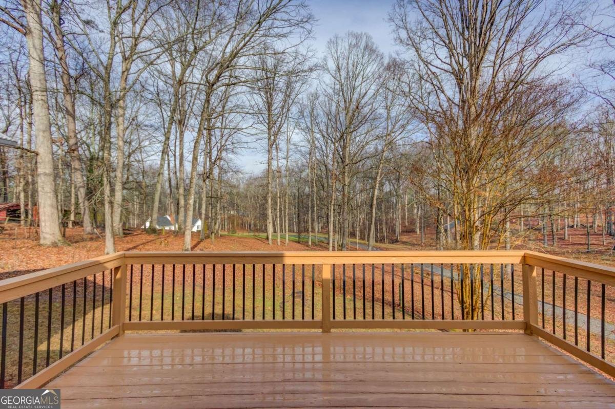 4900 Flat Creek Road Oakwood - Photo 29