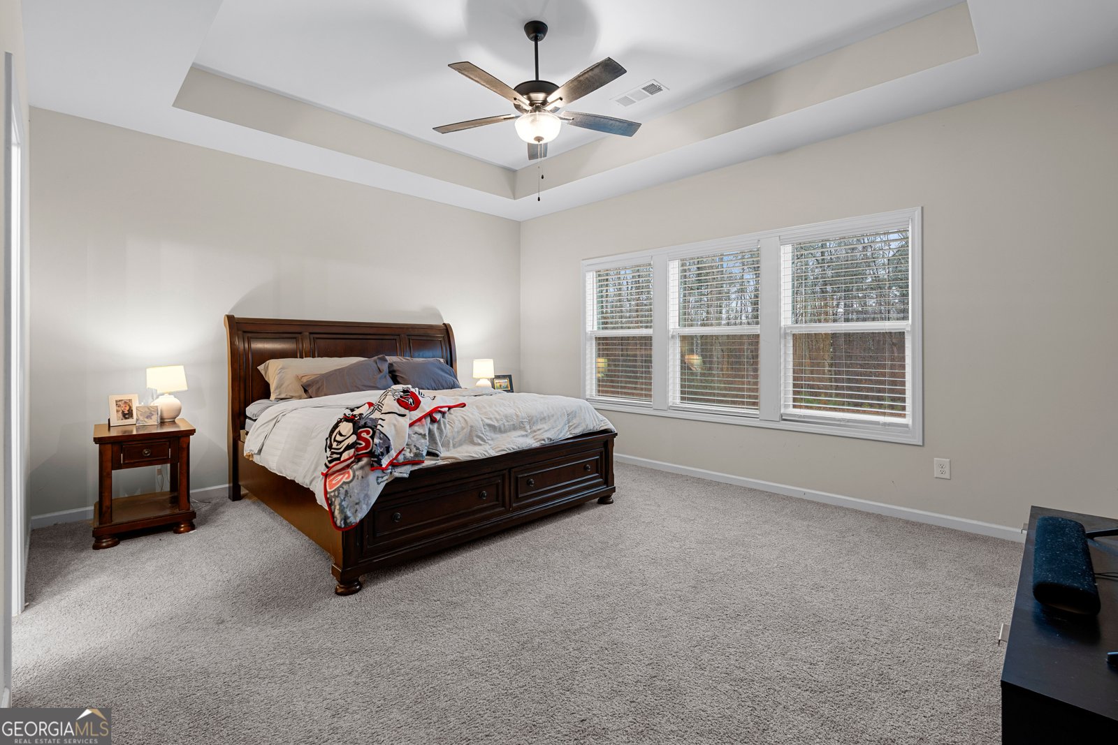 237 Sagebrook Lane Newnan - Photo 25