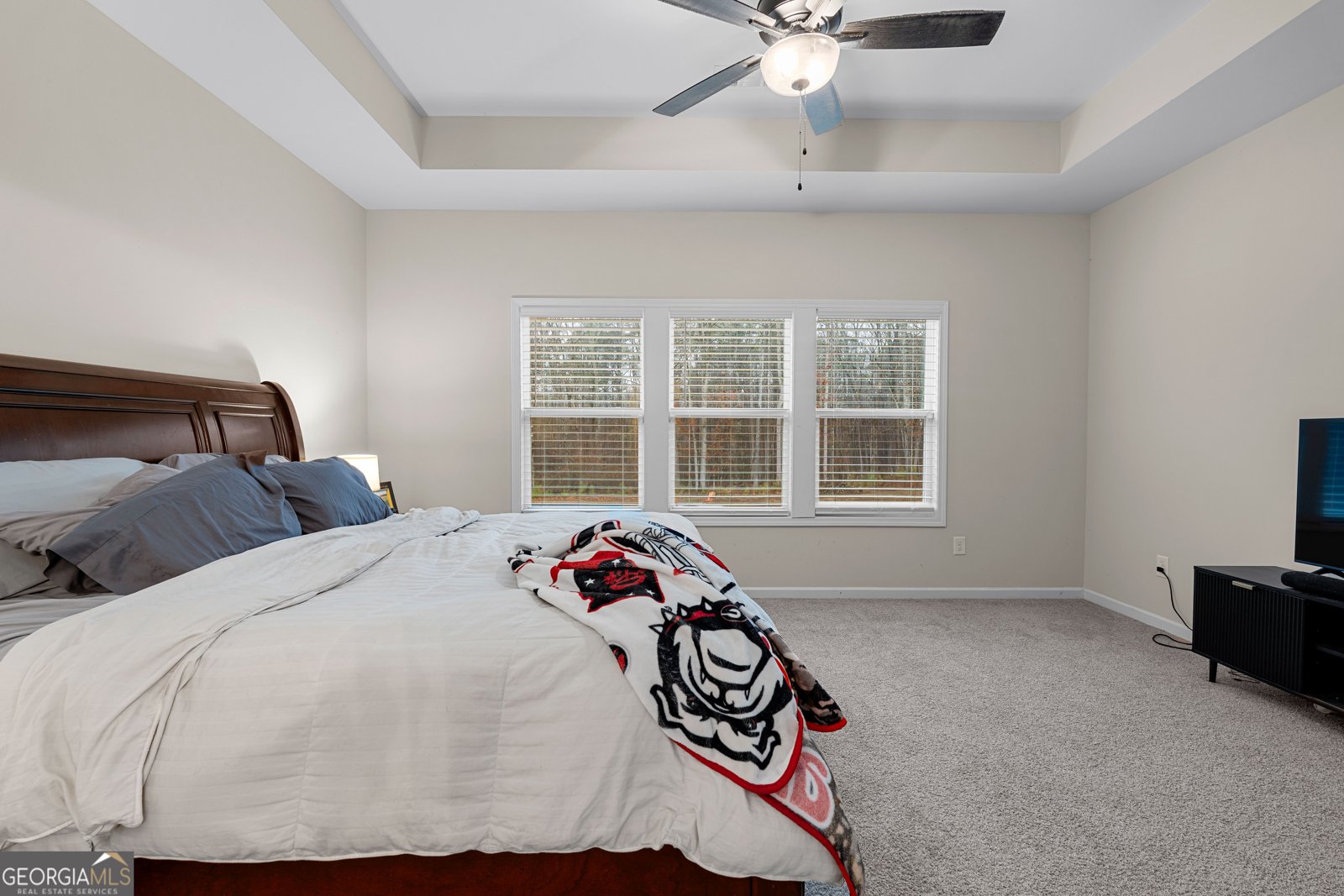 237 Sagebrook Lane Newnan - Photo 27