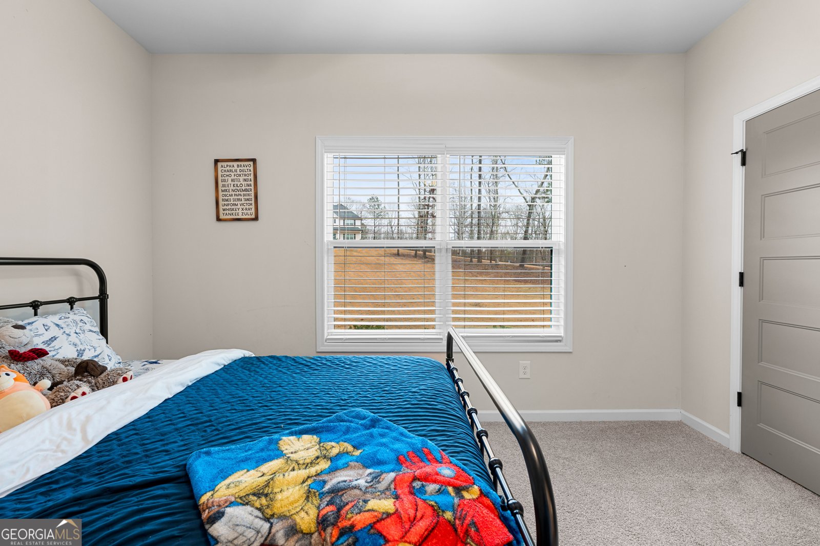 237 Sagebrook Lane Newnan - Photo 36