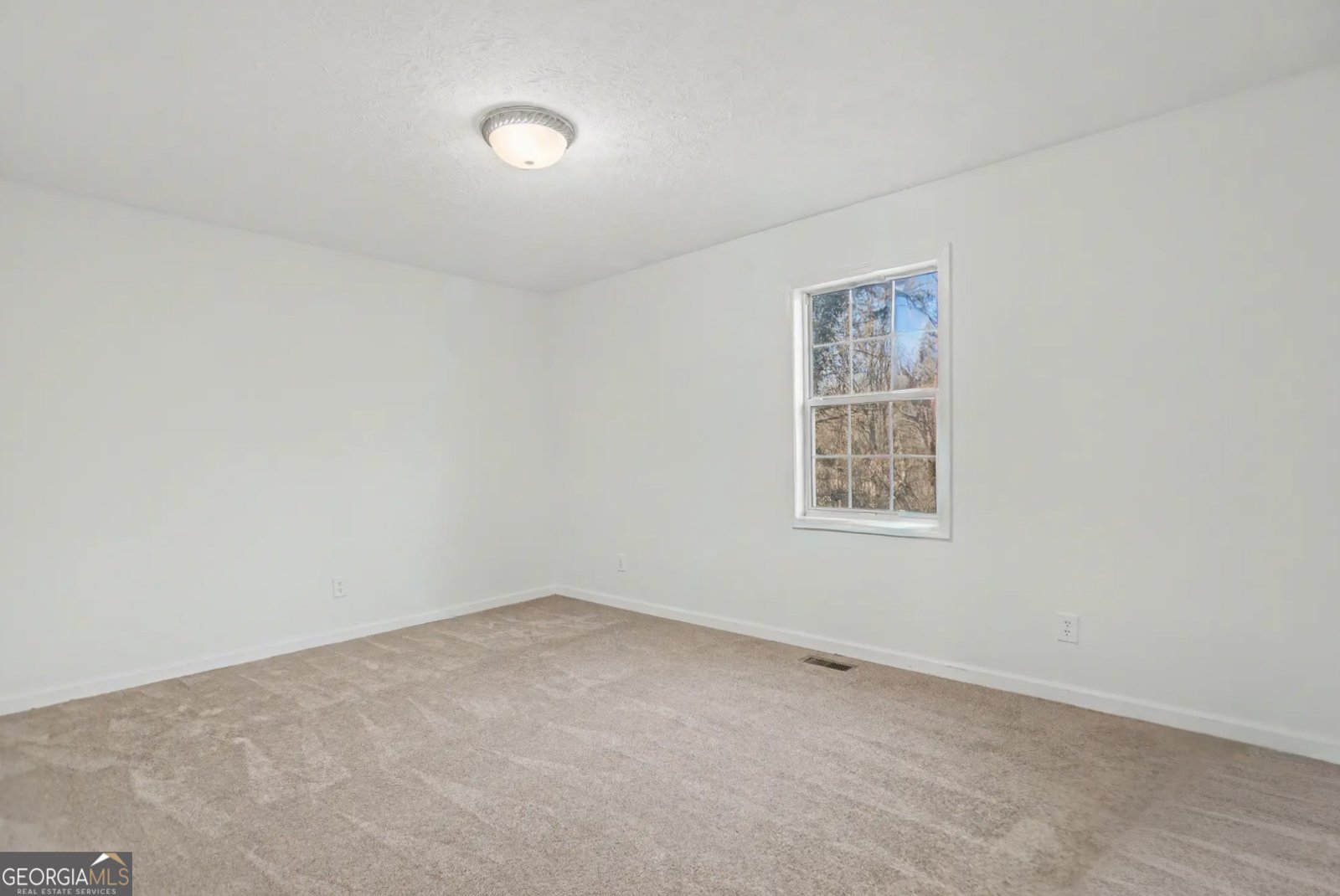 116 Audubon Court Dawsonville - Photo 29