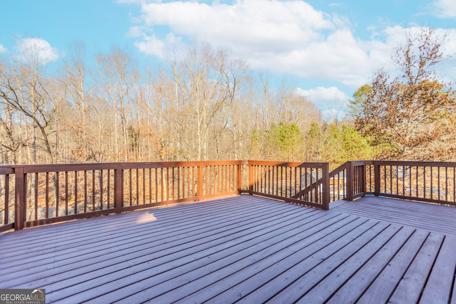 116 Audubon Court Dawsonville - Photo 35