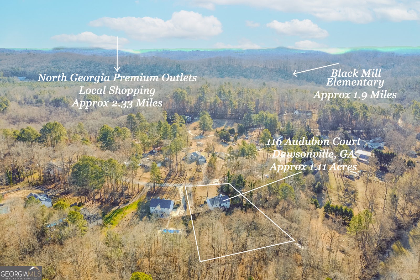 116 Audubon Court Dawsonville - Photo 6