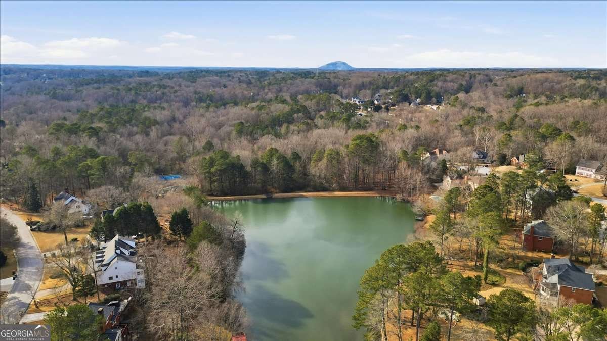 4341 Horder Court Snellville - Photo 67