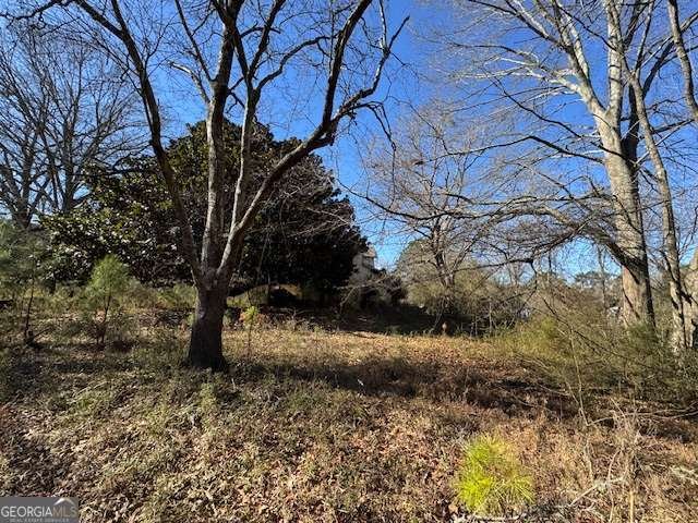 2615 Woodward Road Atlanta - Photo 11