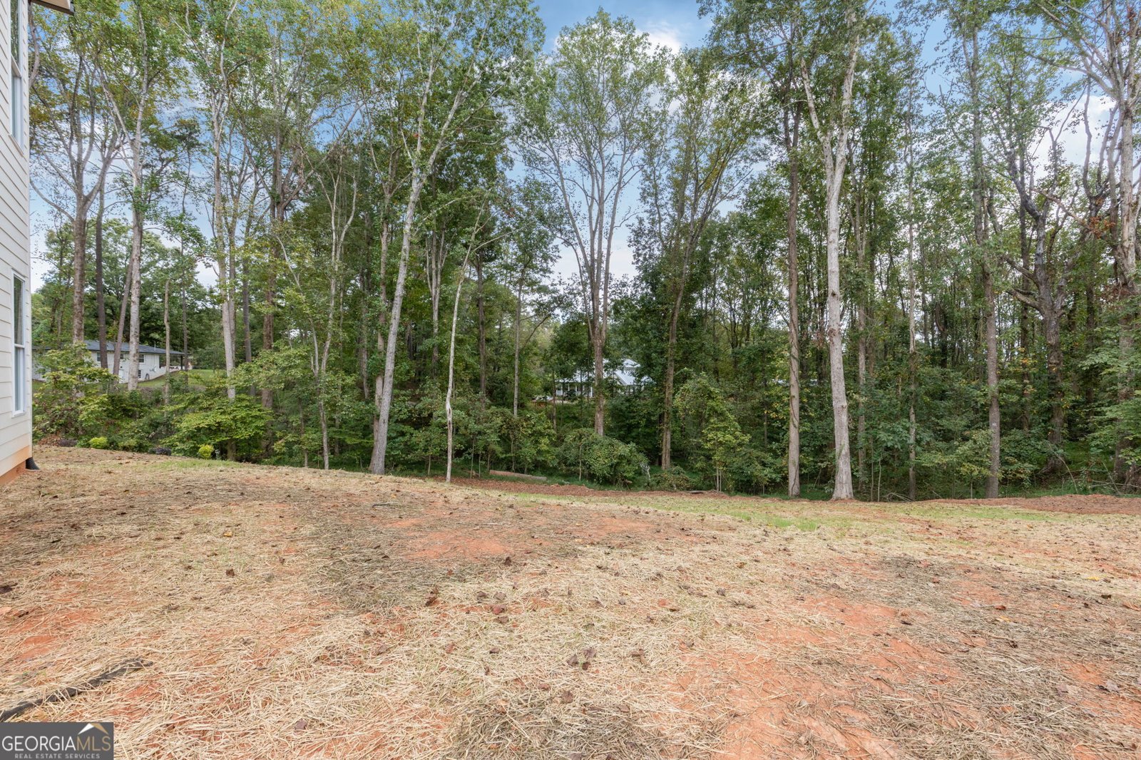 2001 Epperson Road Canton - Photo 80