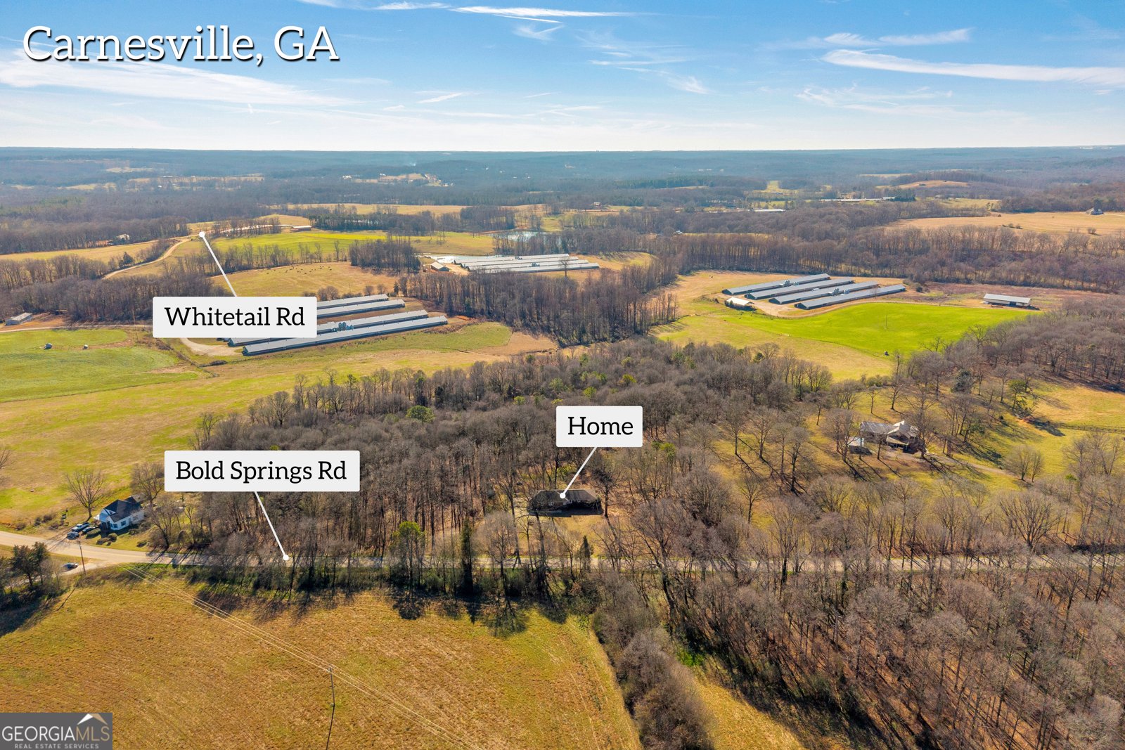 3171 Bold Springs Road Carnesville - Photo 50