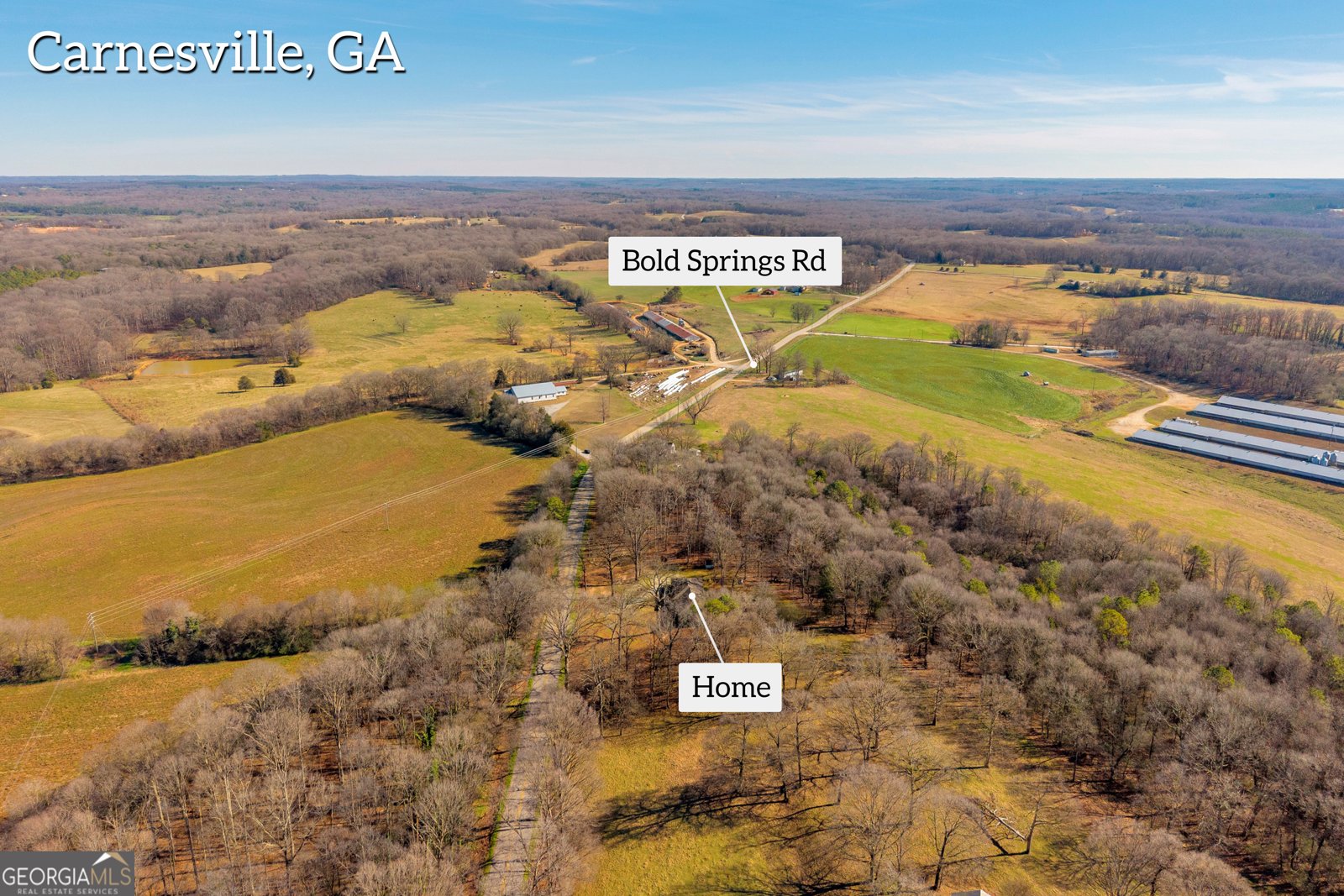 3171 Bold Springs Road Carnesville - Photo 51