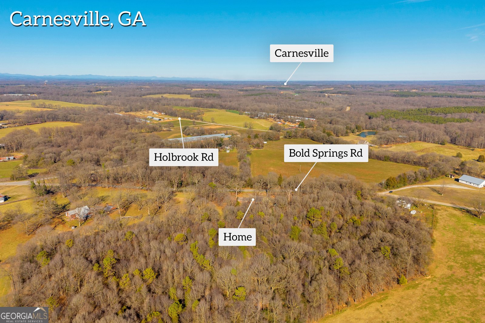3171 Bold Springs Road Carnesville - Photo 52