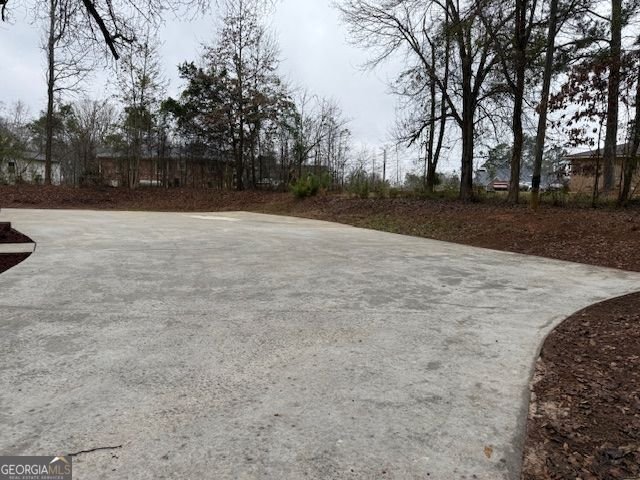 4382 Highway 42 Locust Grove - Photo 21