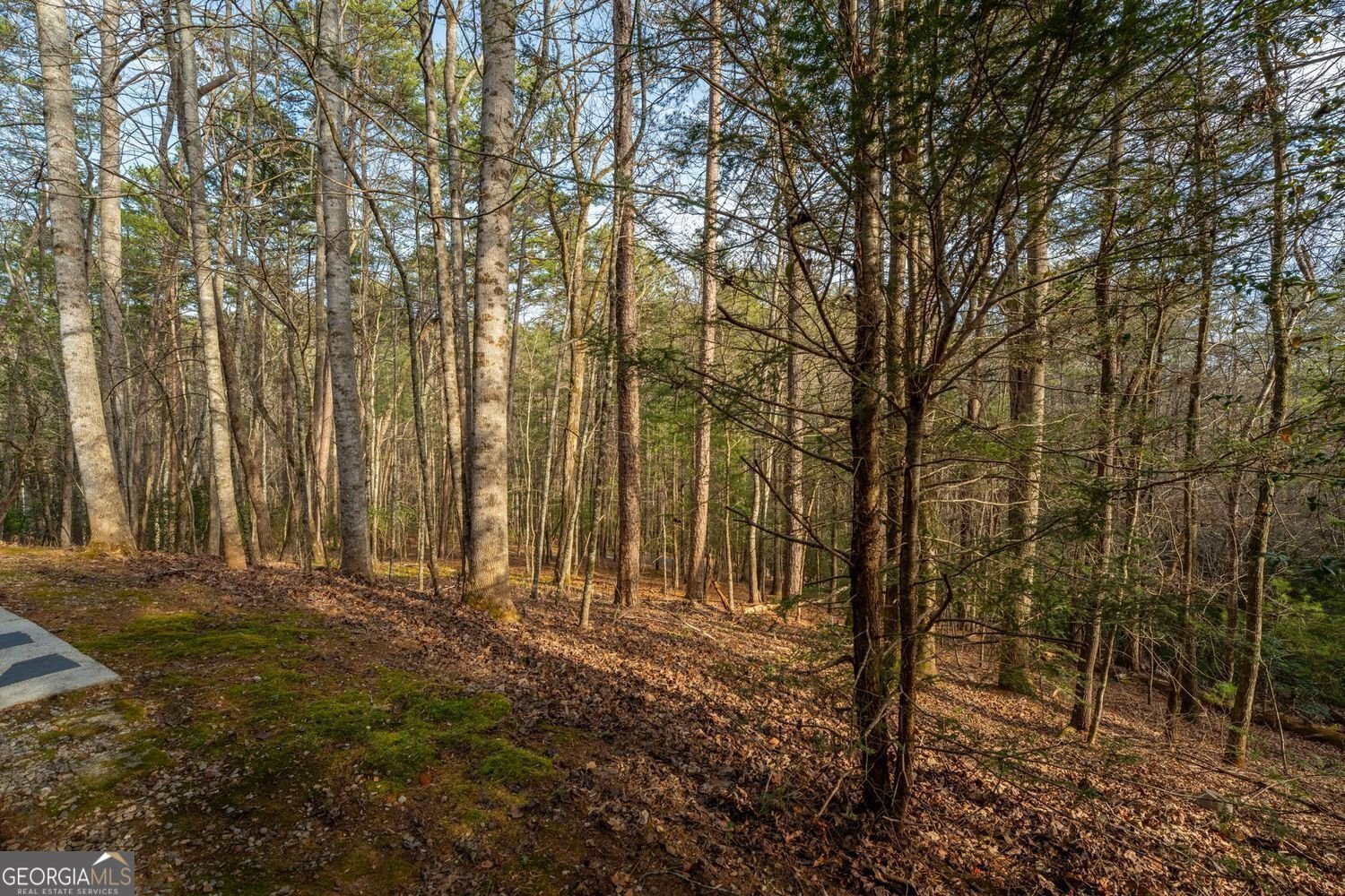 1546 Woodbrier Sautee Nacoochee - Photo 41