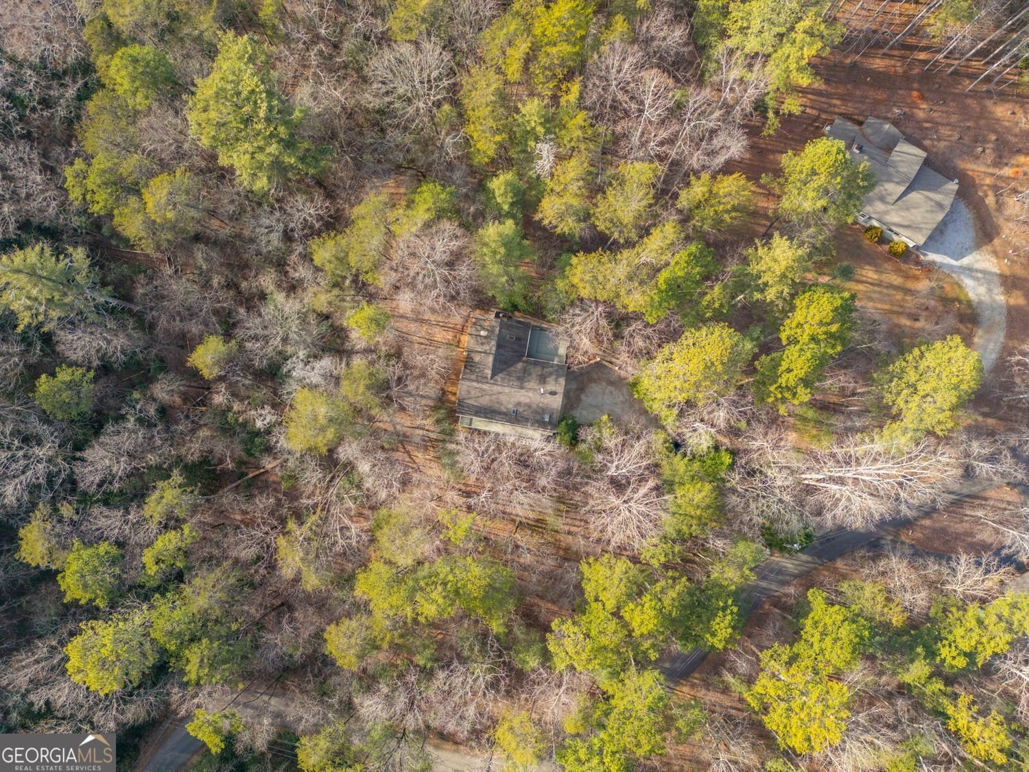 1546 Woodbrier Sautee Nacoochee - Photo 64