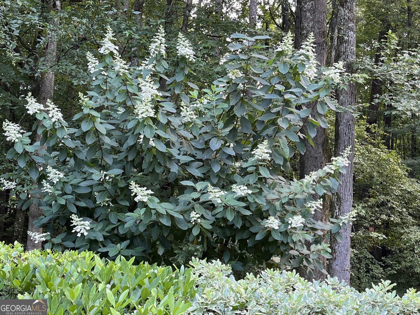 14430 Wyndham Farms Drive Milton - Photo 50