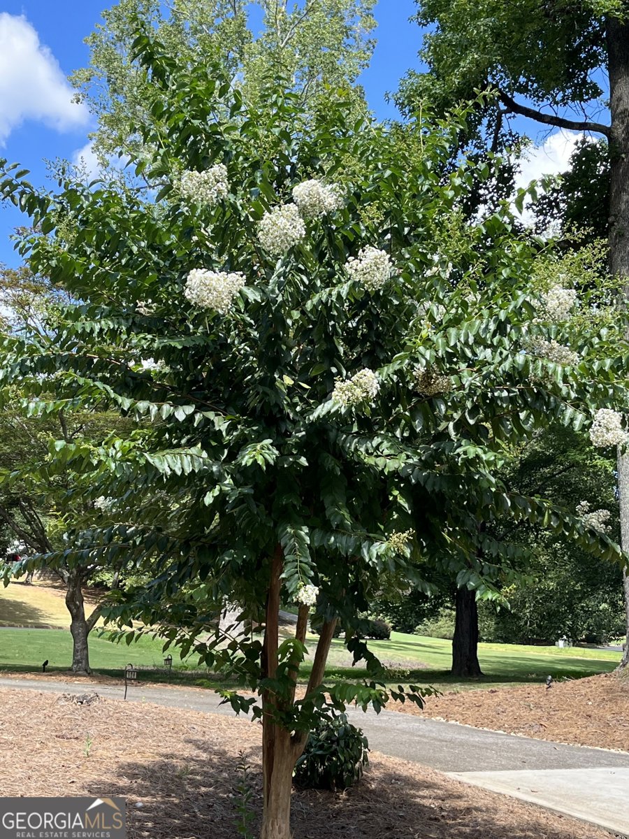 14430 Wyndham Farms Drive Milton - Photo 51