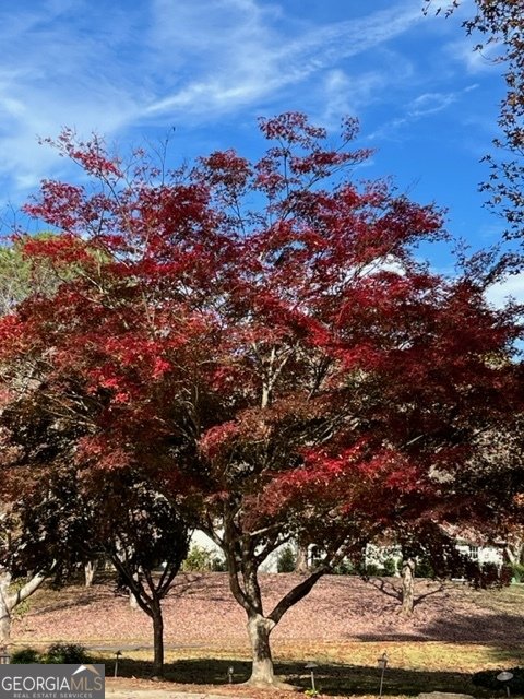 14430 Wyndham Farms Drive Milton - Photo 52