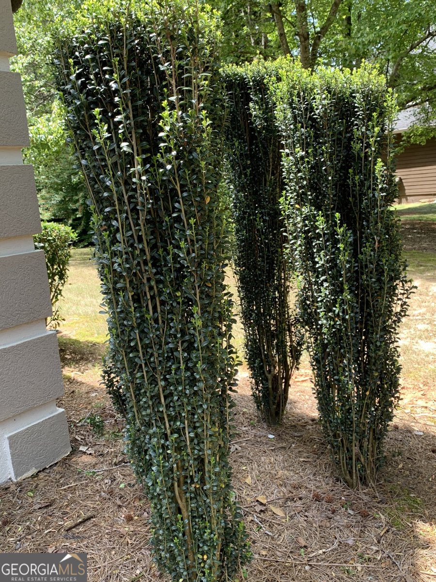 14430 Wyndham Farms Drive Milton - Photo 53