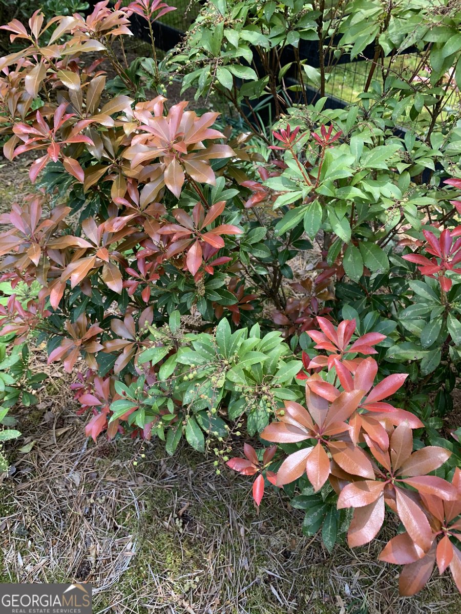 14430 Wyndham Farms Drive Milton - Photo 54