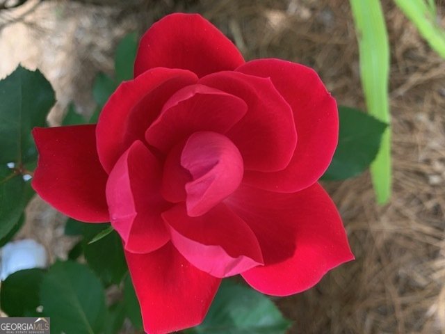 14430 Wyndham Farms Drive Milton - Photo 55