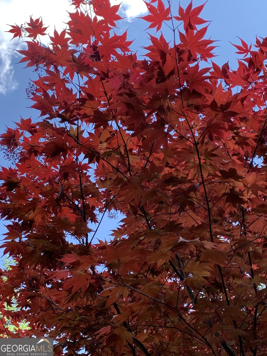 14430 Wyndham Farms Drive Milton - Photo 57