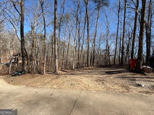 6143 Belle Meade Drive Villa Rica - Photo 14