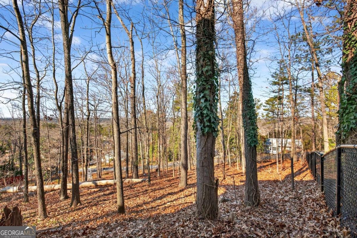 556 Embry Lane Marietta - Photo 60