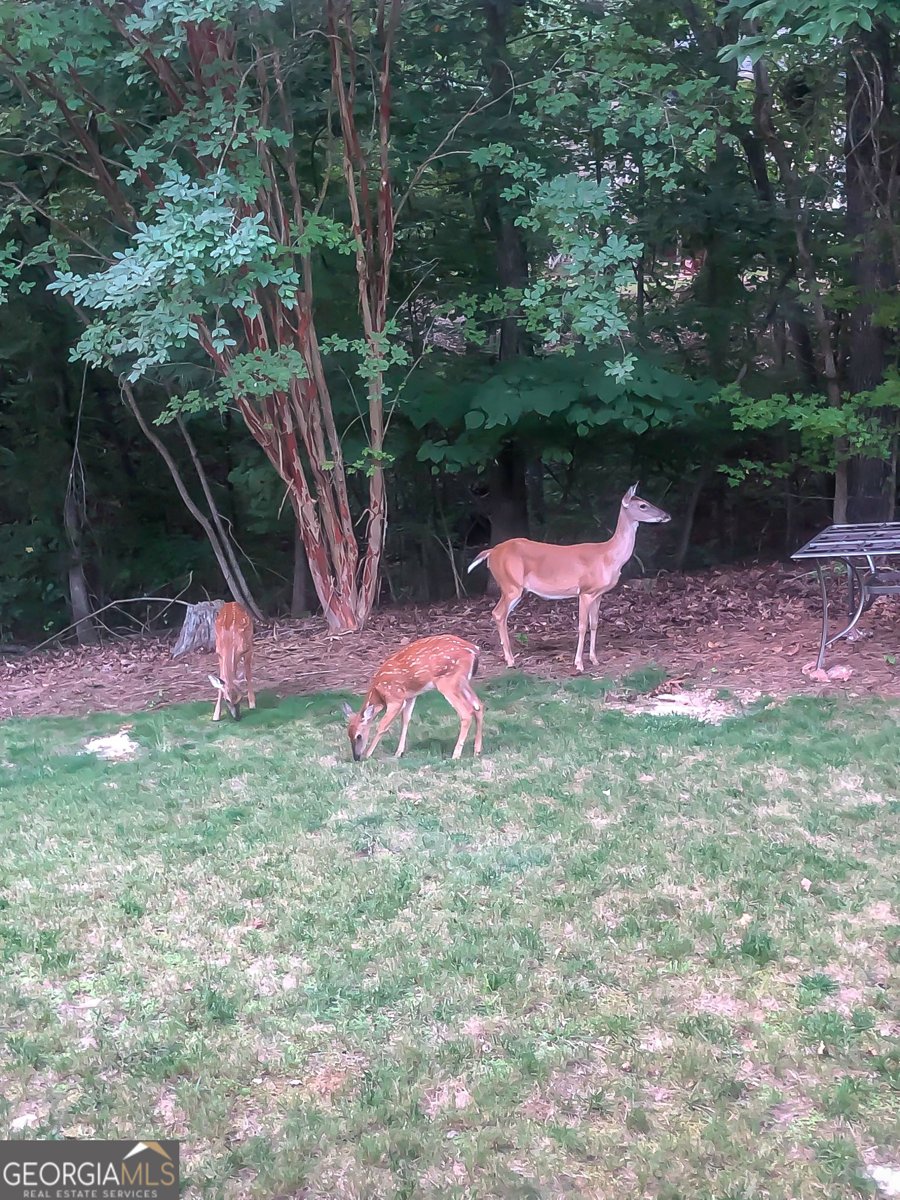 23 Clover Leaf Court Newnan - Photo 77