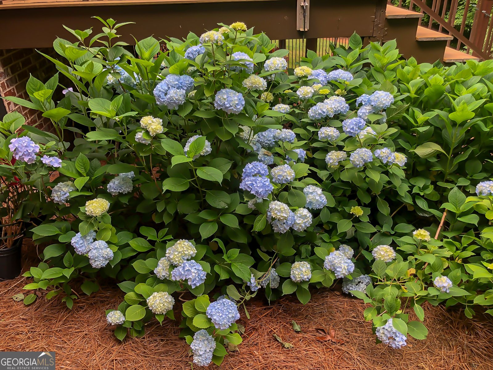 23 Clover Leaf Court Newnan - Photo 78