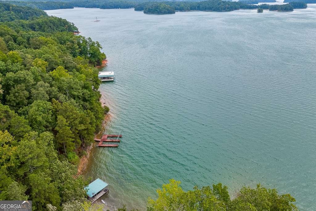 7620 Breeze Bay Road Cumming - Photo 44