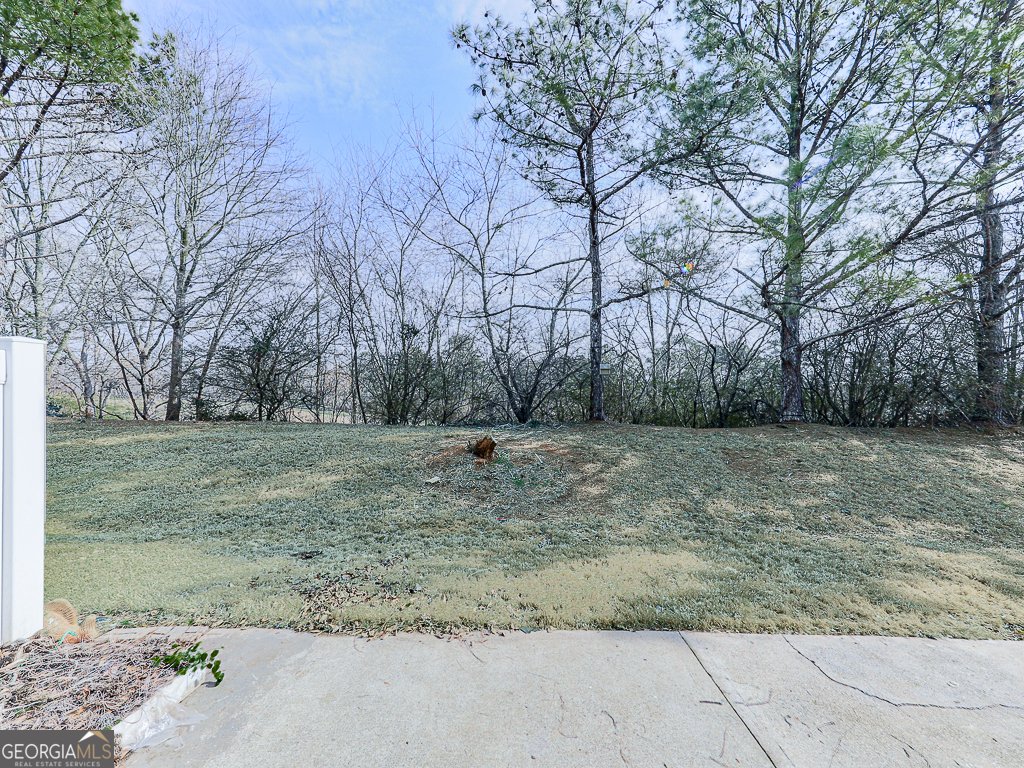 388 Weatherstone Place Alpharetta - Photo 33