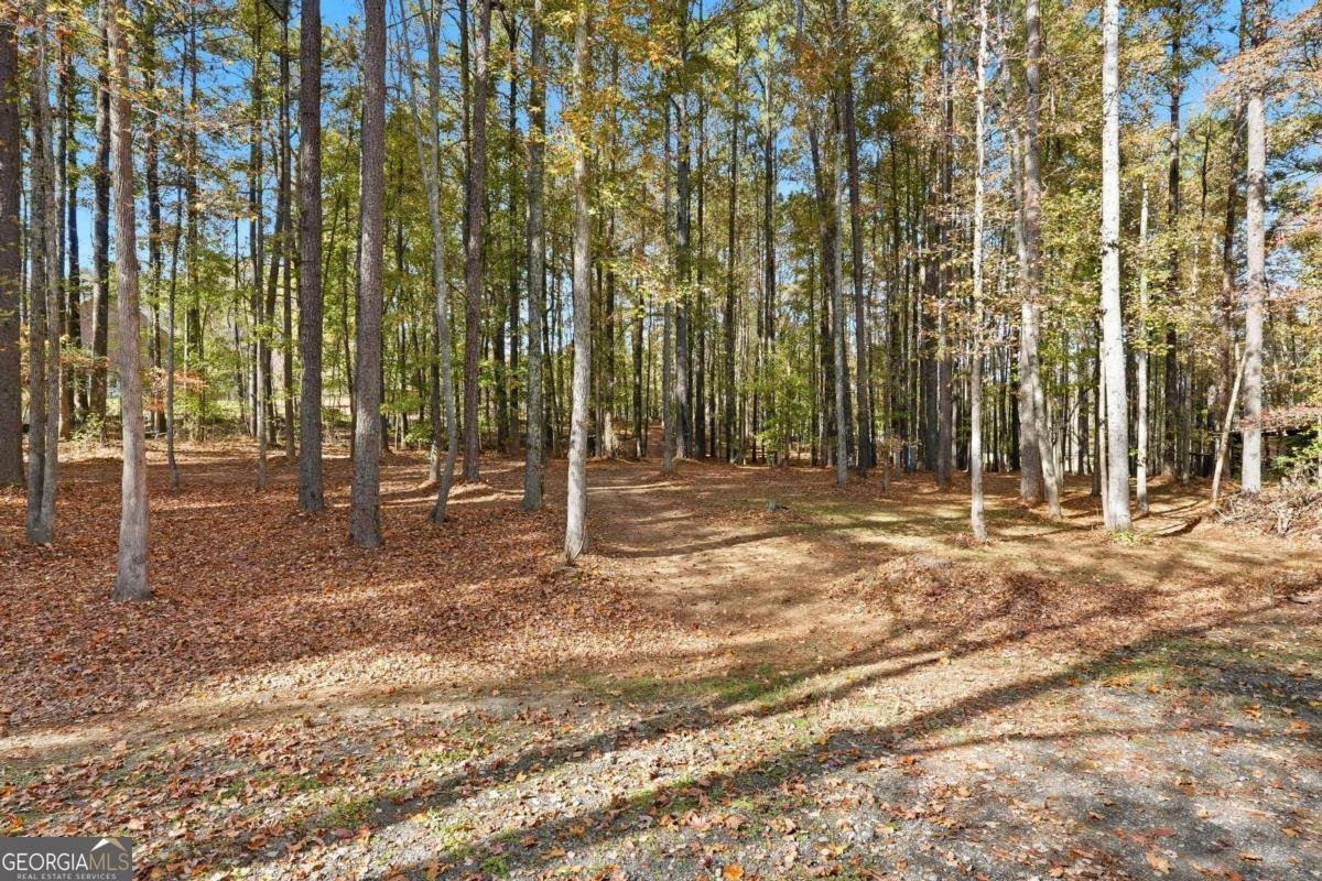 5750 Cook Road Powder Springs - Photo 36