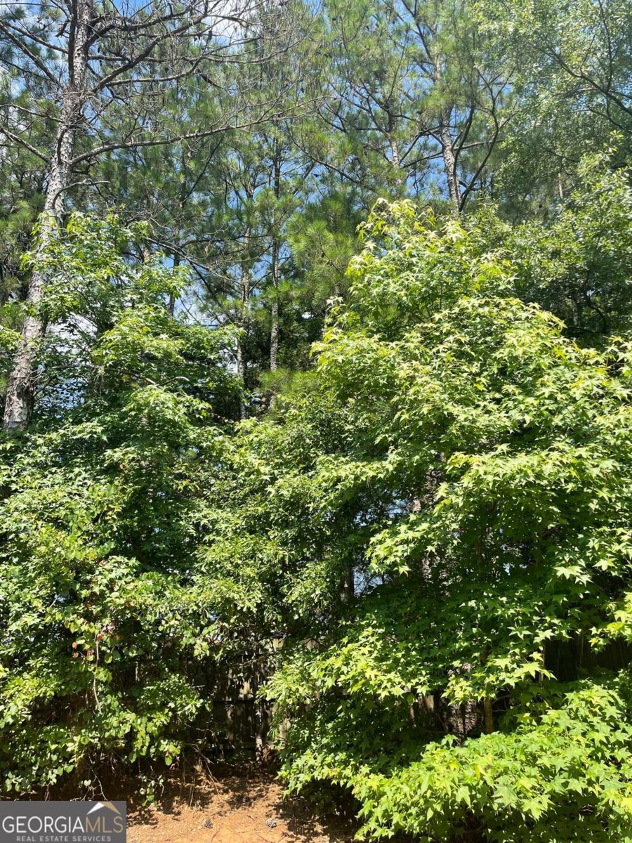 645 Stadler Pointe Mcdonough - Photo 14