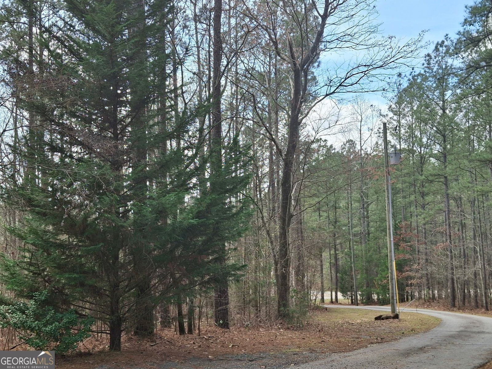 5862 Ga Highway 219 Franklin - Photo 24