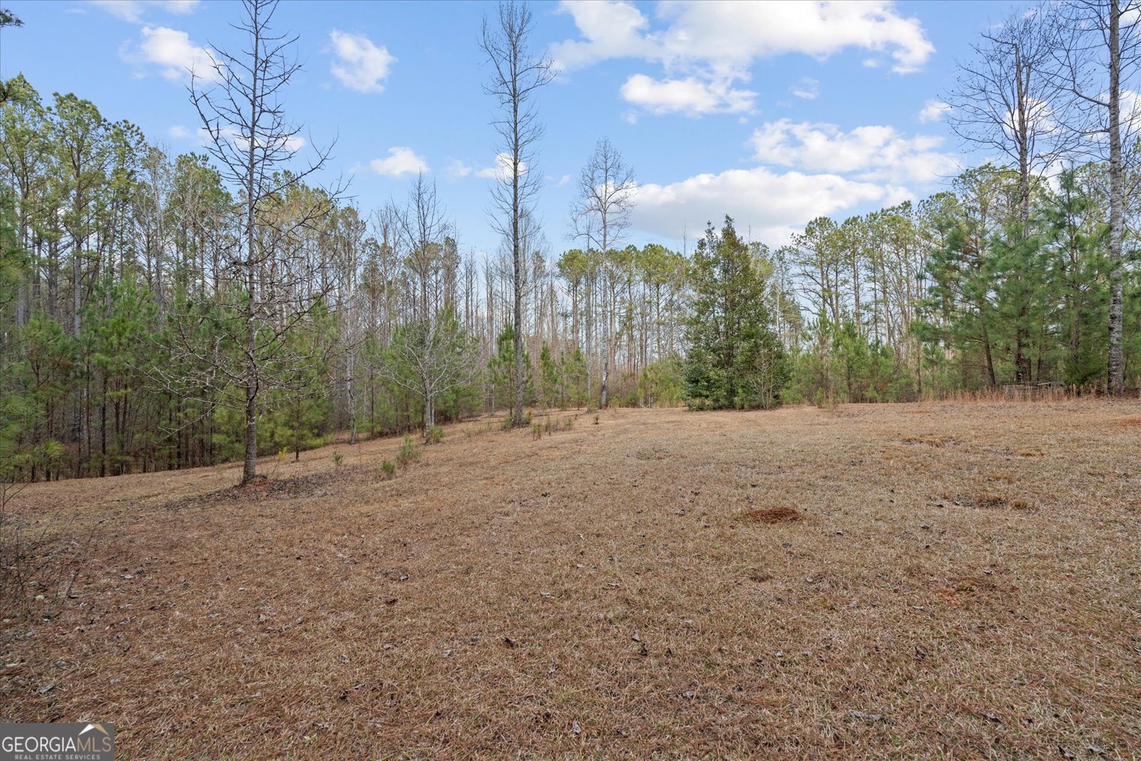 5862 Ga Highway 219 Franklin - Photo 7