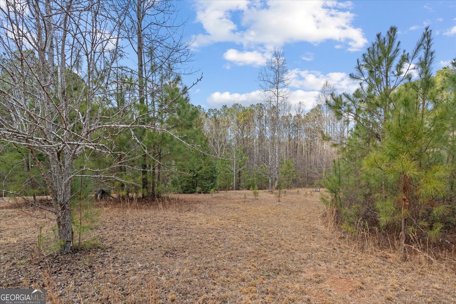 5862 Ga Highway 219 Franklin - Photo 8