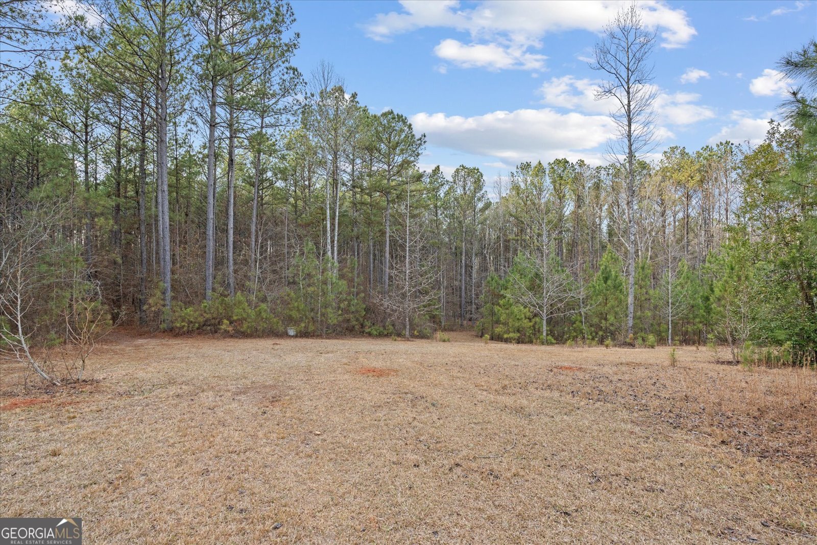 5862 Ga Highway 219 Franklin - Photo 9