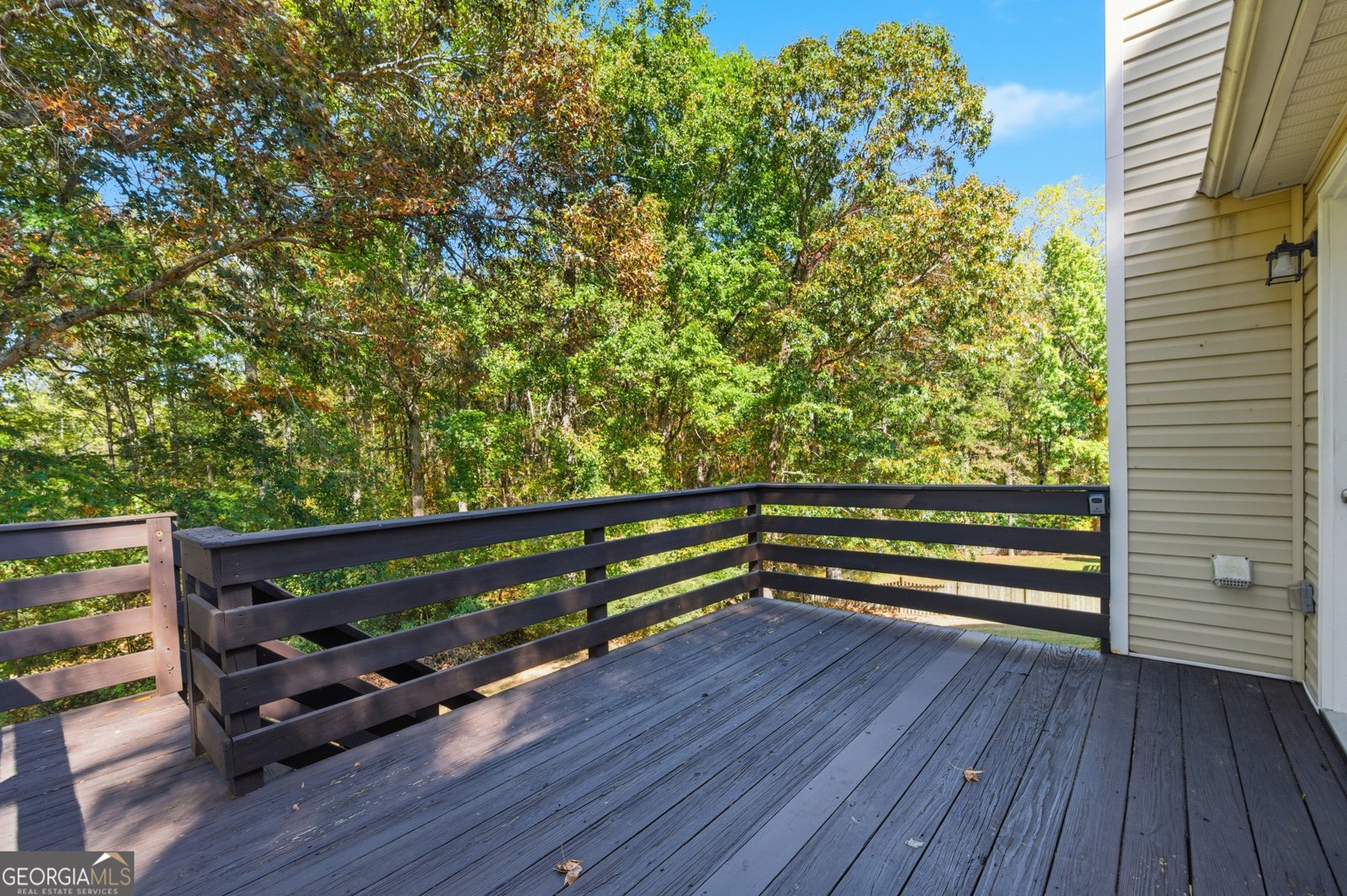 1730 Alcovy River Drive Dacula - Photo 26