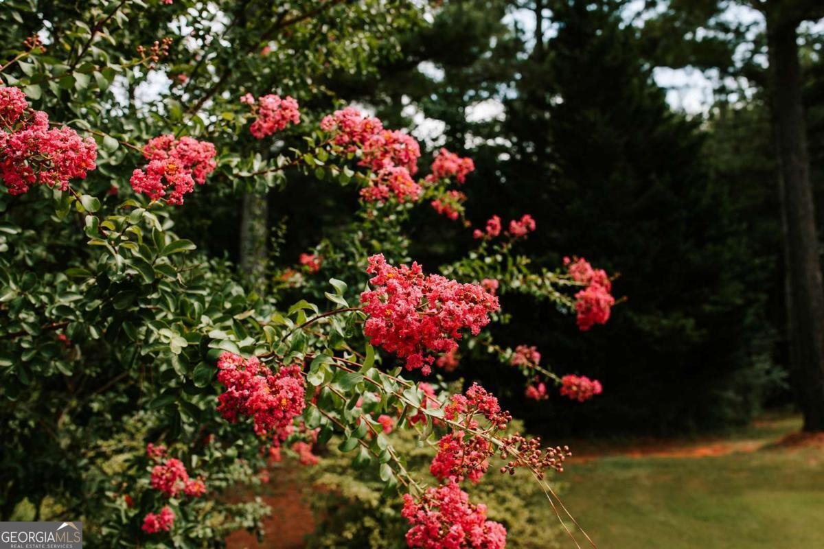 221 Creekside Drive Arnoldsville - Photo 37