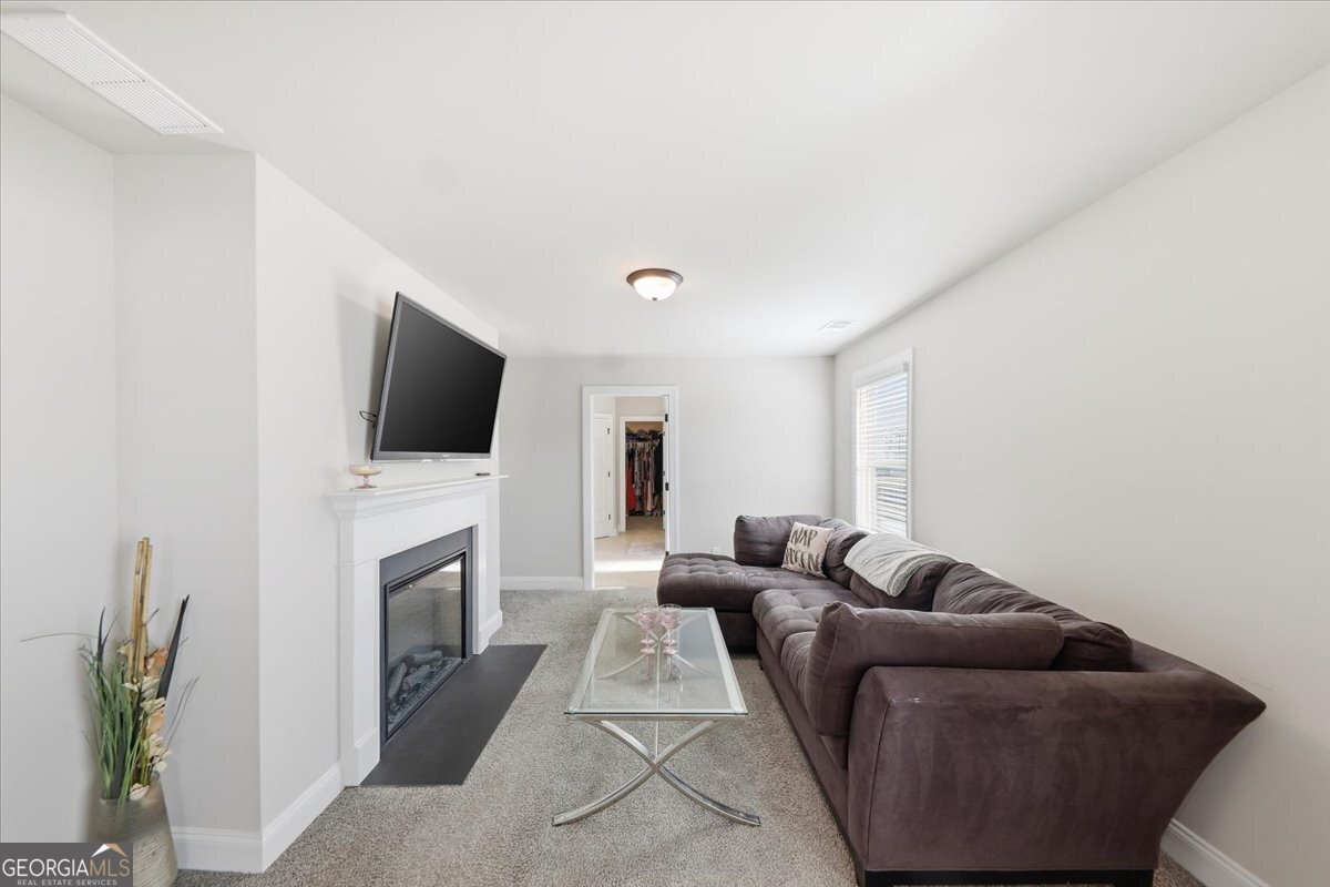 321 Usher Lane Locust Grove - Photo 42