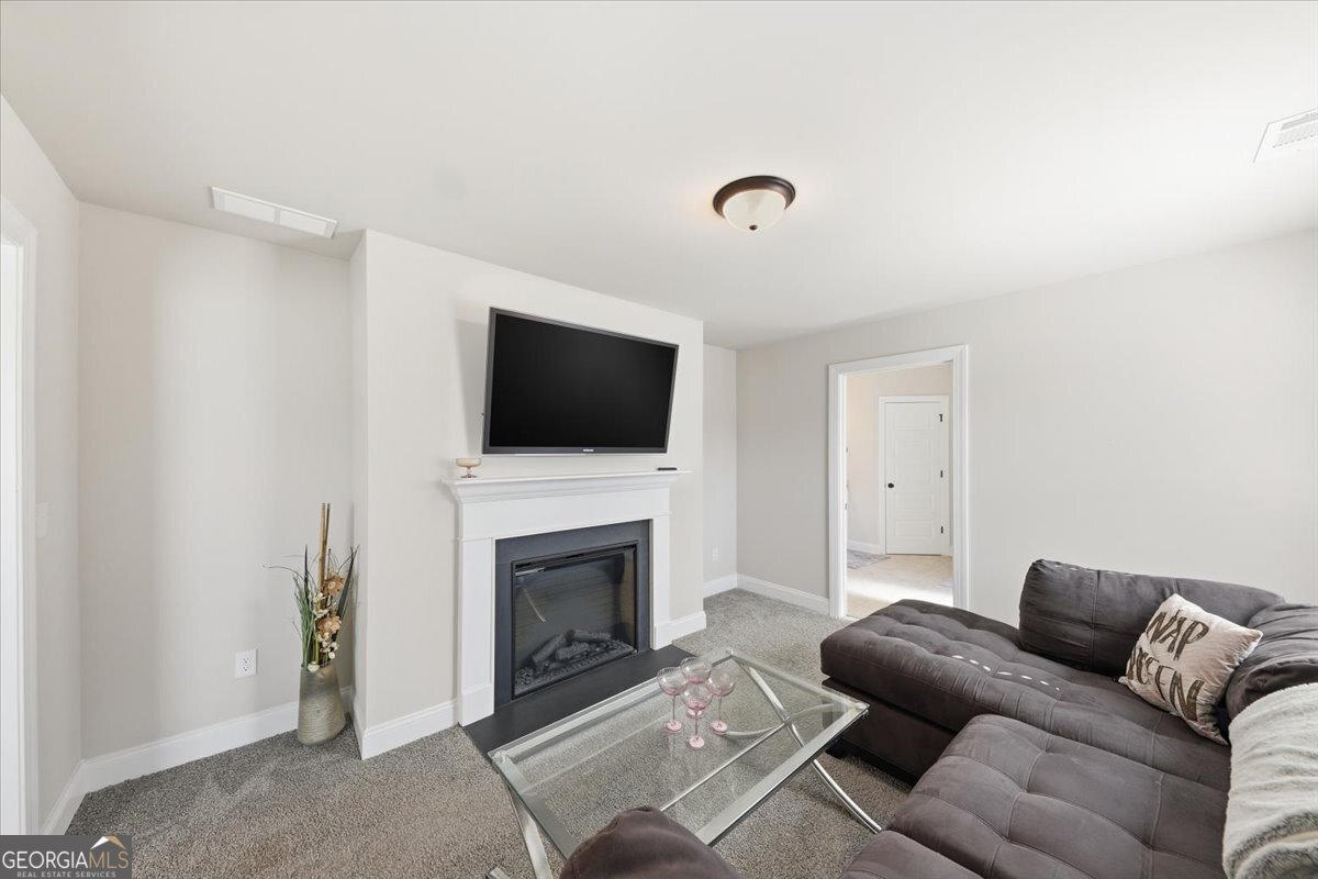 321 Usher Lane Locust Grove - Photo 43