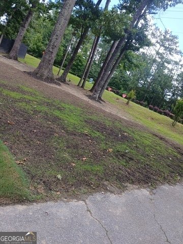 6985 Butner Road South Fulton - Photo 35