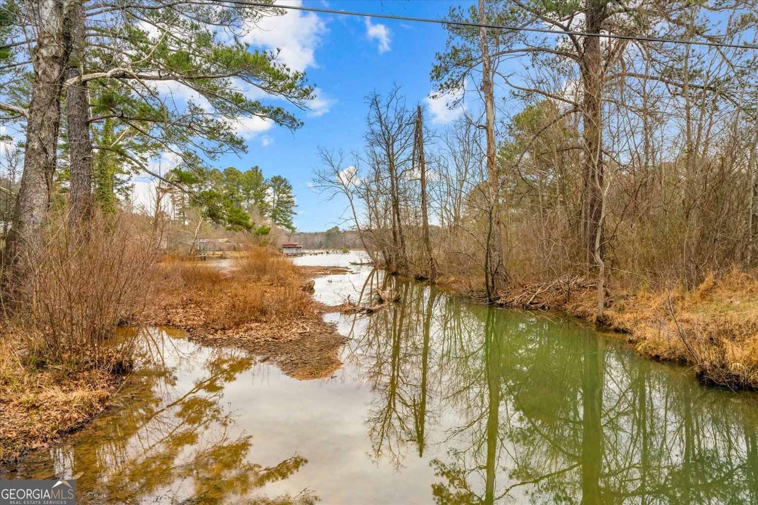 1323 Peggy Lane Tunnel Hill - Photo 37