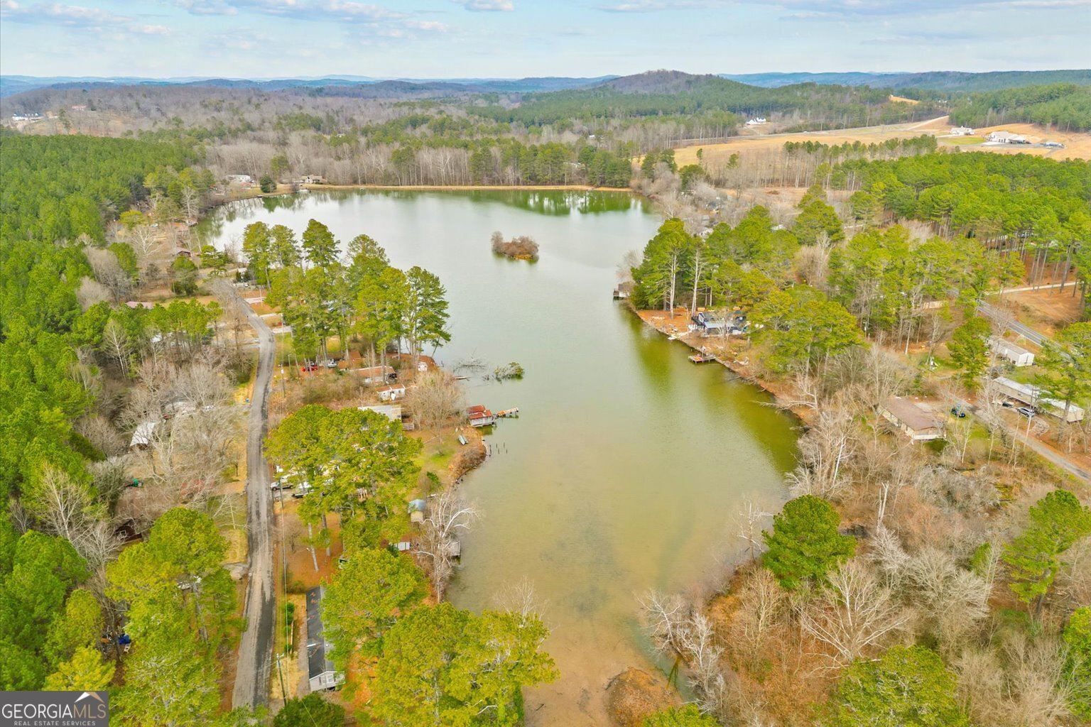 1323 Peggy Lane Tunnel Hill - Photo 52