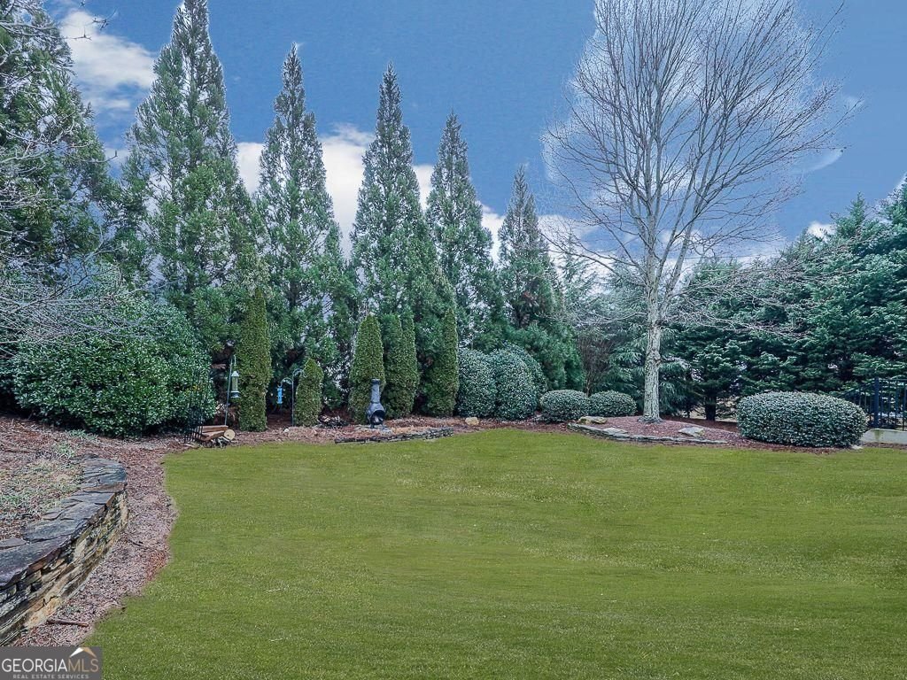 523 Appalachian Woods Drive Canton - Photo 61