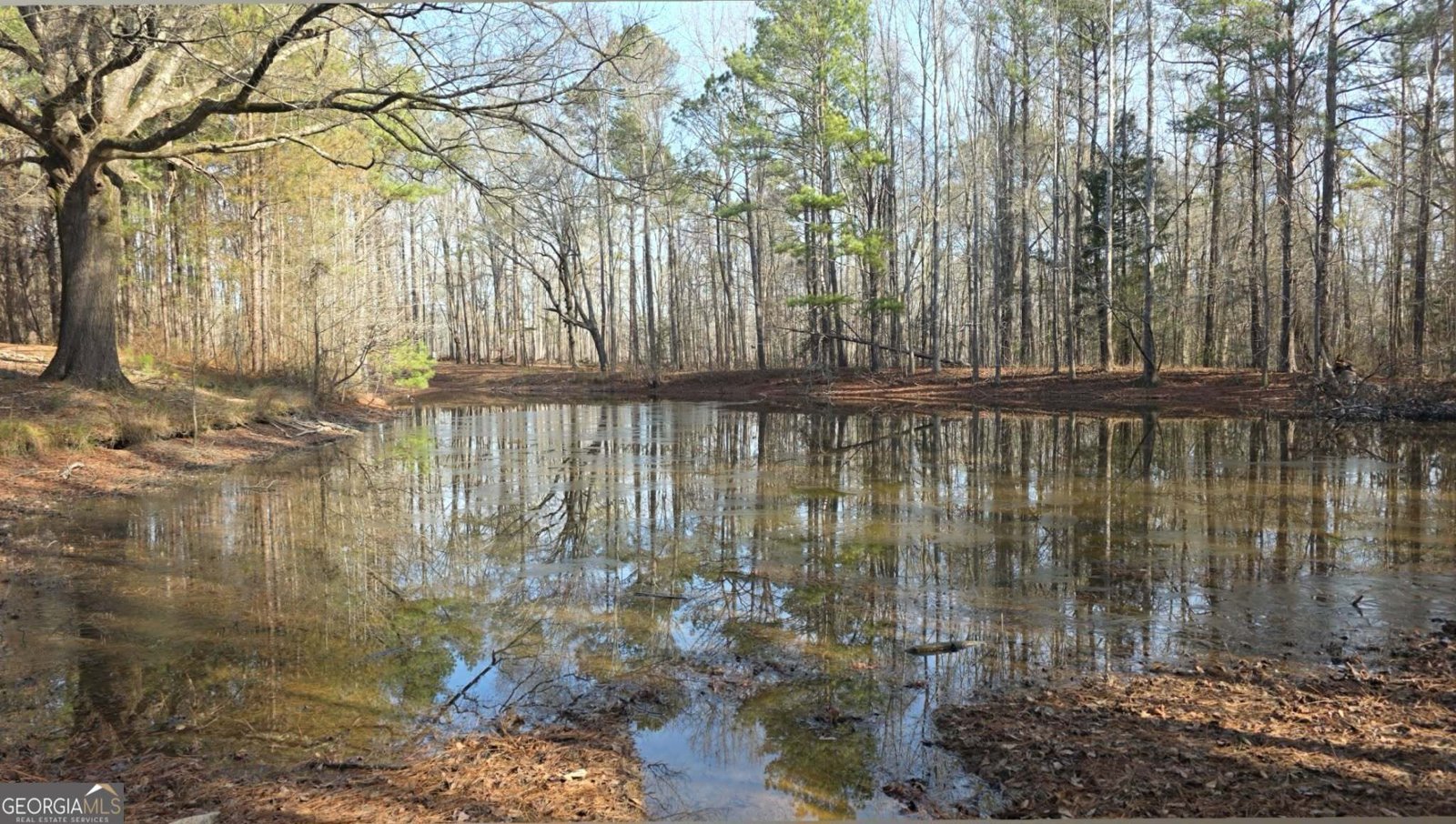 1330 Dunn Road Molena - Photo 54