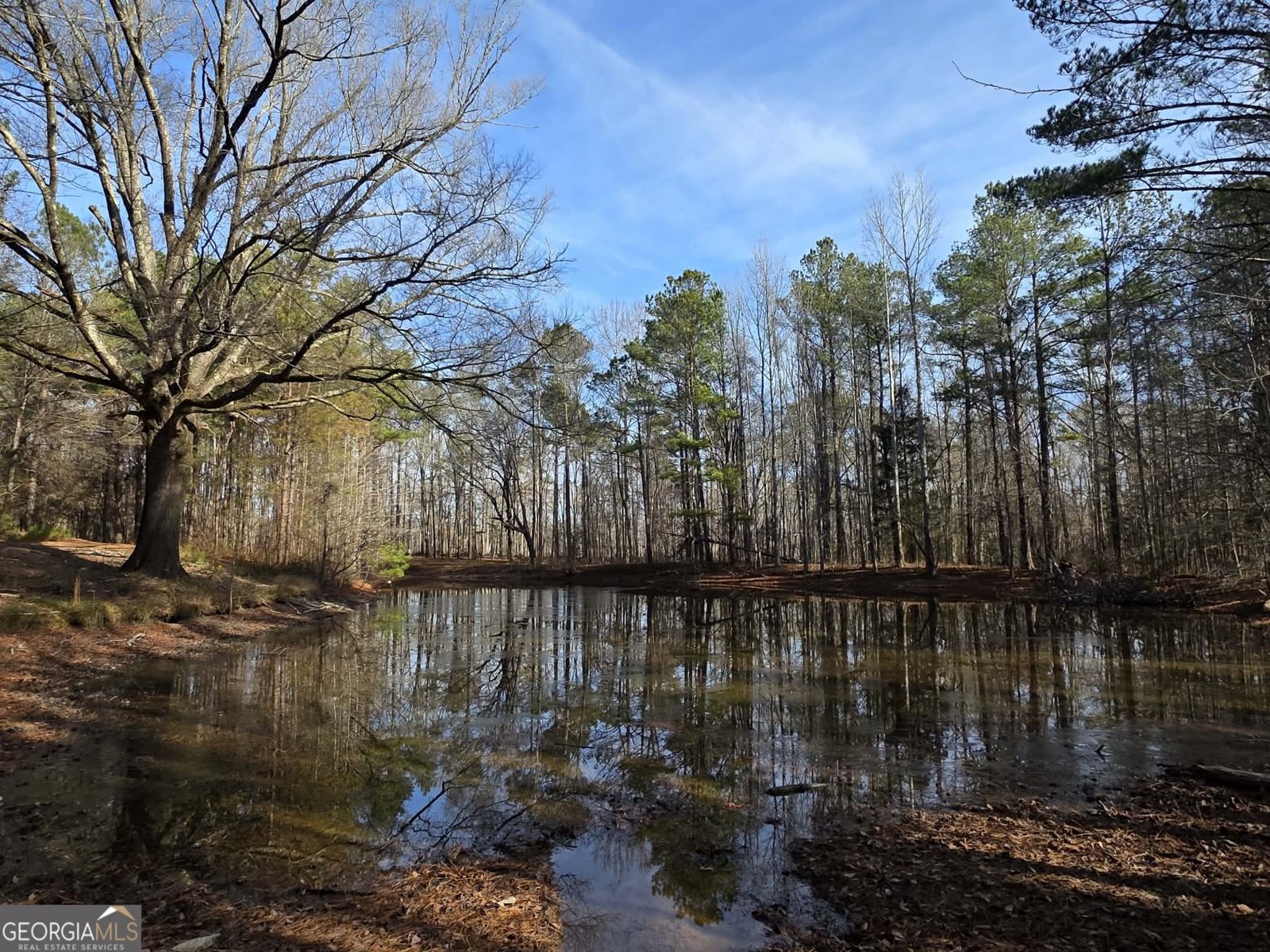 1330 Dunn Road Molena - Photo 55